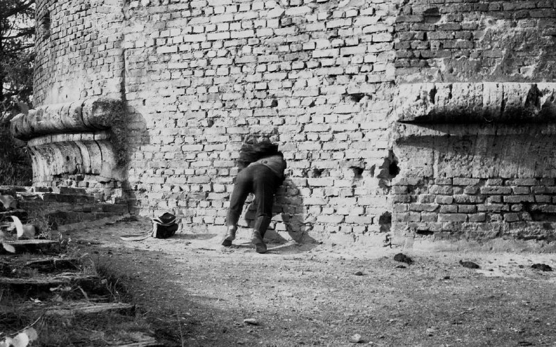 Иллюстрация 8