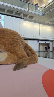 В аэропорту Гонконга появился гигантский интерактивный кот