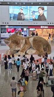 Иллюстрация 2