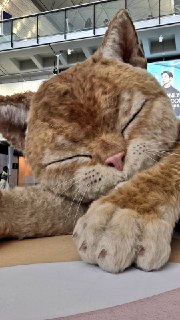 Иллюстрация 3