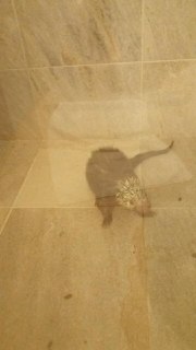 Иллюстрация 4