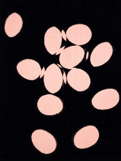 Иллюстрация 3