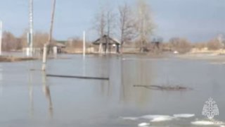 Паводок в Алтайском крае подтопил более 140 домов
