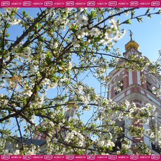 Весна больше не притворяется. Прогноз погоды на 13 апреля