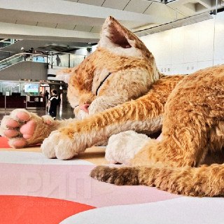 В аэропорту Гонконга установили гигантского реалистичного кота