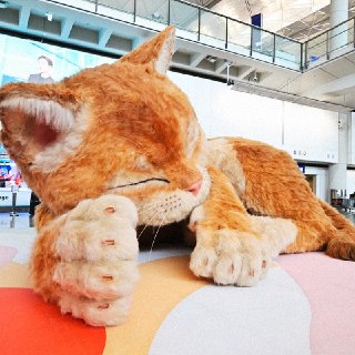 Иллюстрация 3