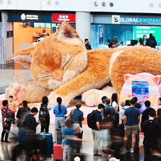 Иллюстрация 4