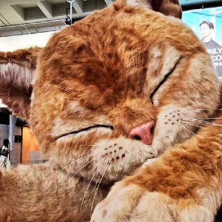 Иллюстрация 5