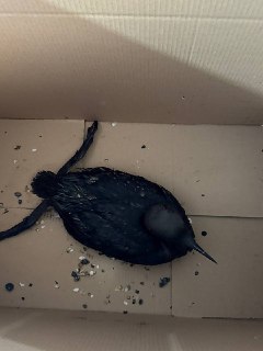 Иллюстрация 5