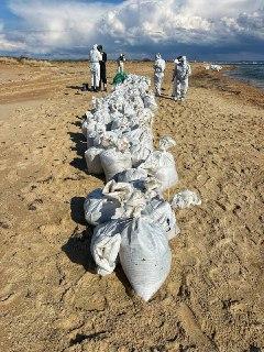 Иллюстрация 7