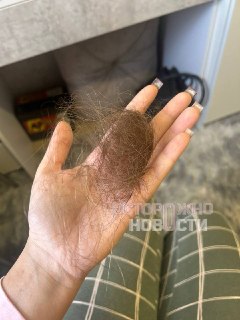 Иллюстрация 5