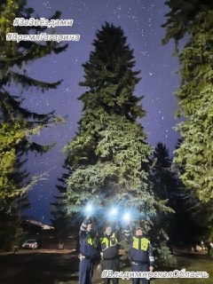 Иллюстрация 6