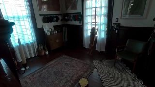 Астронавт NASA Кристина Кук показала видео встречи с собакой из космоса