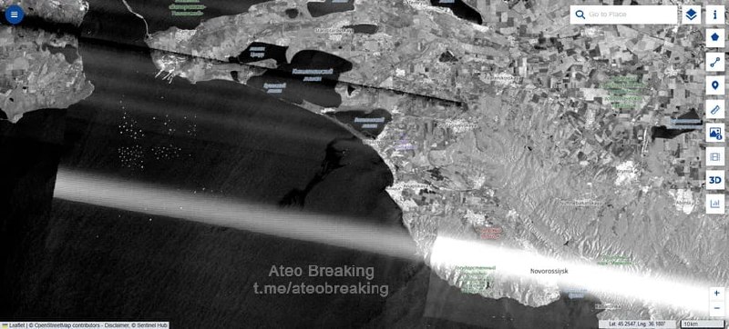 Власти Кубани удалили публикацию о гибели птиц из-за разлива нефти