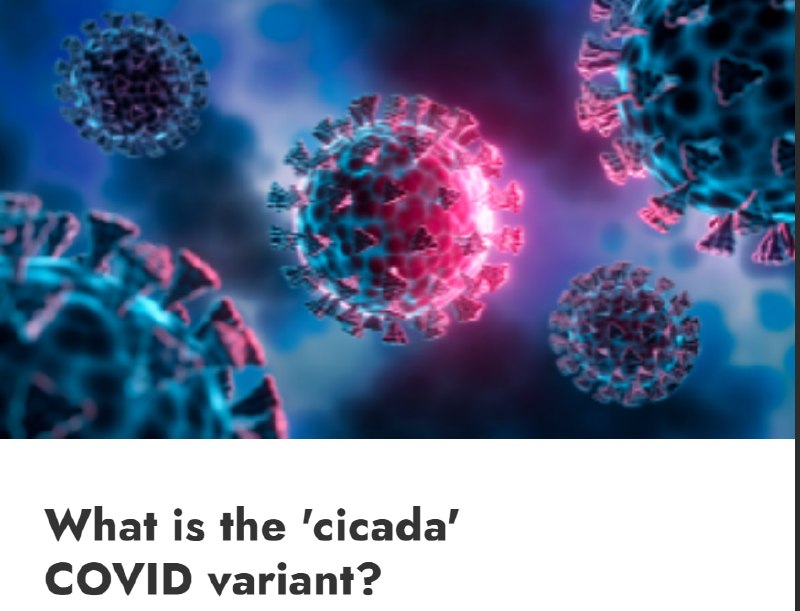 Новый штамм COVID-19 «цикада» выявлен в 23 странах