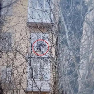 Мальчик опасно свисал с балкона в Сестрорецке, пока в комнате спал пьяный нянь