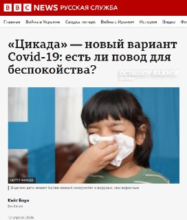 ВОЗ наблюдает за новым вариантом Covid-19 «Цикада»: штамм уже в 23 странах