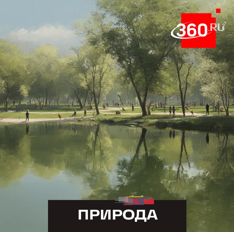 Более 50 тысяч человек посетили обновленный Центральный парк Долгопрудного
