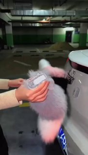 Китайцы придумали себе новый тренд — механические хвосты на автомобилях