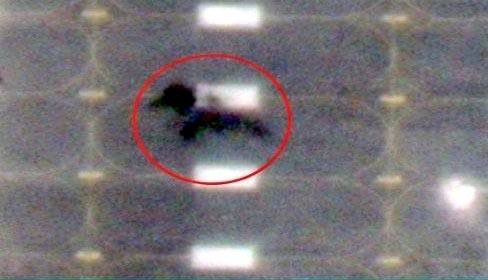 Иллюстрация 2