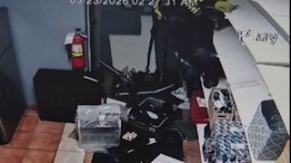 Преступник в костюме Человека-паука обнёс магазин через потолок