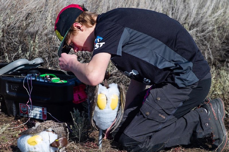 Иллюстрация 1