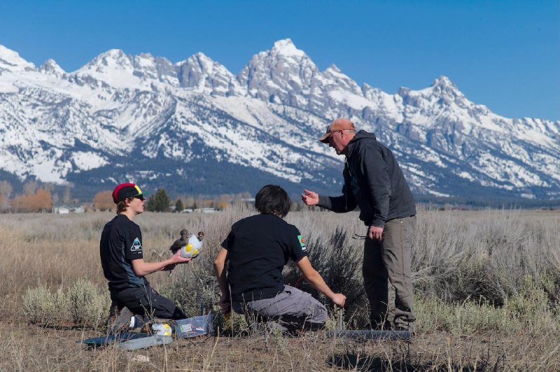 Иллюстрация 2