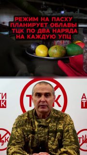 Режим Зеленского готовит облавы ТЦК