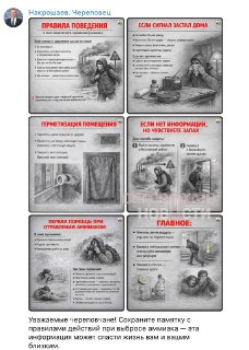 Власти Череповца выпустили памятку о безопасности при выбросе аммиака после атаки БПЛА