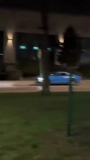 Робот разогнал стадо кабанов в жилом районе