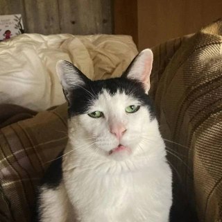 Иллюстрация 4