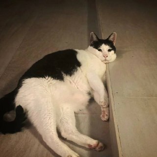 Иллюстрация 1