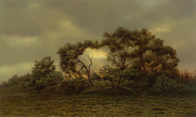 Особенности пейзажа Вадима Дементьева «Ветлы»