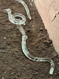 Иллюстрация 7