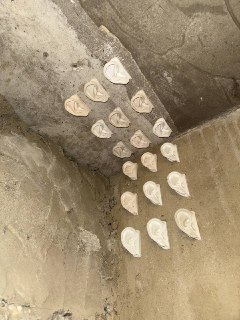 Иллюстрация 8