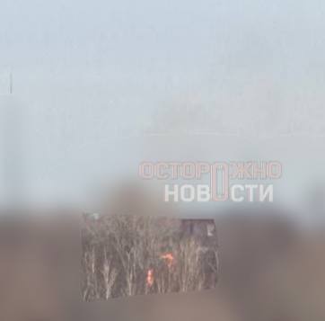 Иллюстрация 1