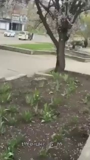 Иллюстрация 4