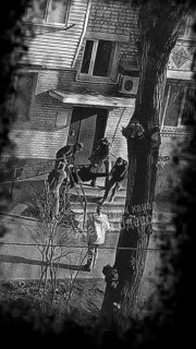 Призыв к протестам в Киеве на фоне потерь ВСУ