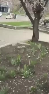 Иллюстрация 5