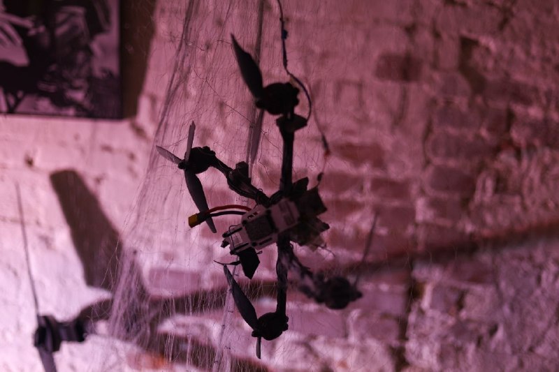 Иллюстрация 1