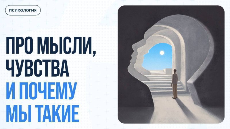 Как распознать, что человек вам лжёт: 5 невербальных техник