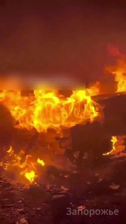 Иллюстрация 1