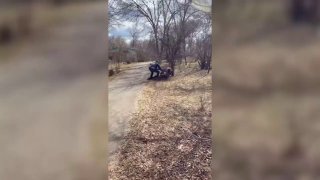 Силовики предотвратили теракт и задержали нарушительницу за оскорбительный контент