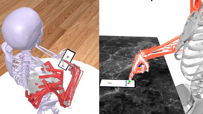 Новая модель Log2Motion AI раскрывает скрытое напряжение мышц за ежедневным использованием смартфона