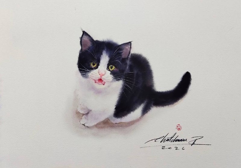 Иллюстрация 1