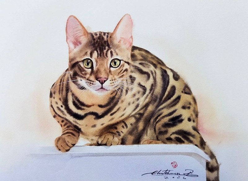 Иллюстрация 6