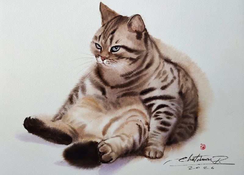 Иллюстрация 7