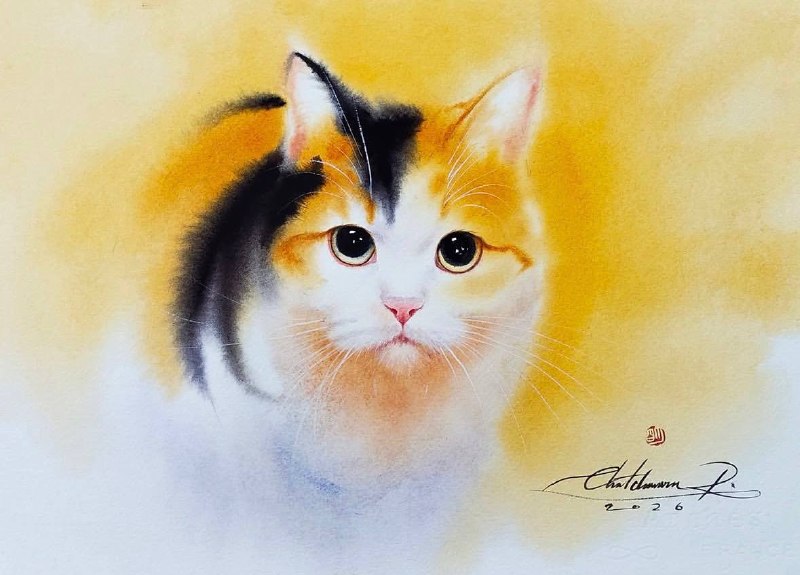 Иллюстрация 9