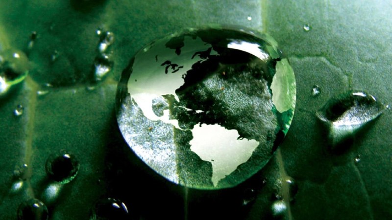 Форма воды 📽