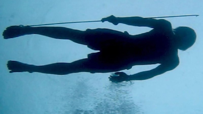 Иллюстрация 5